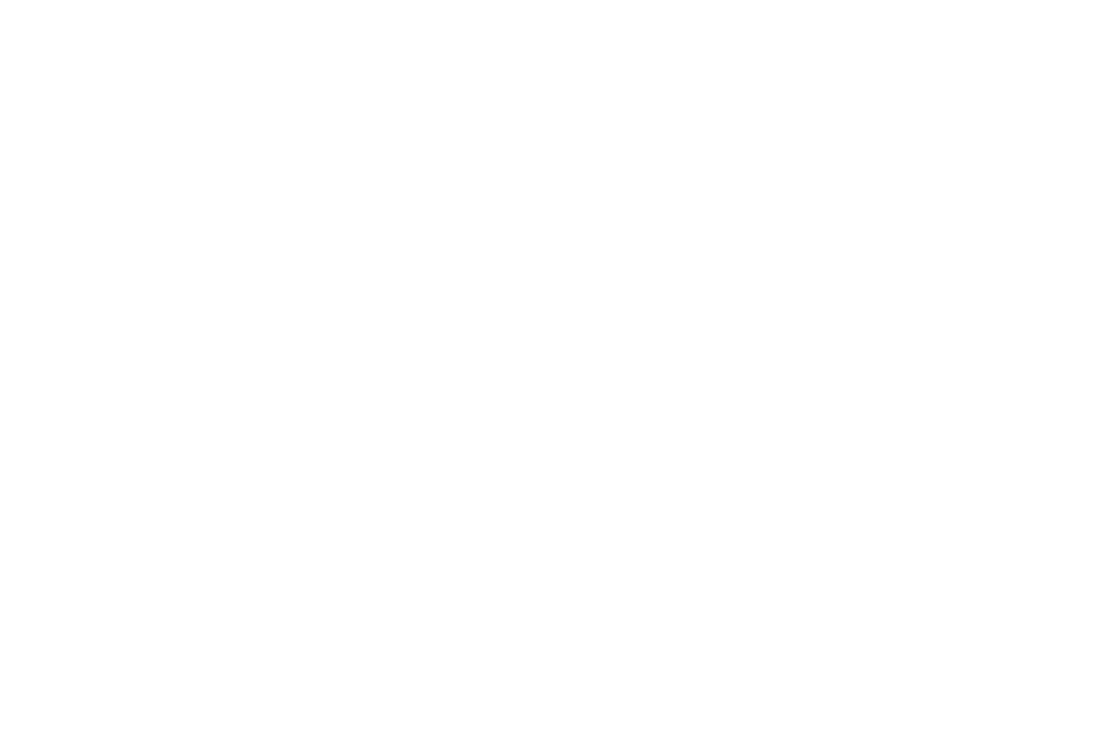 Weddings by Elite Experience